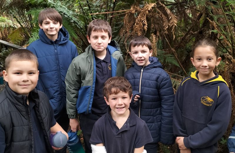 A bushwalk experience post image