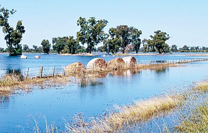 Flood help for farmers post image
