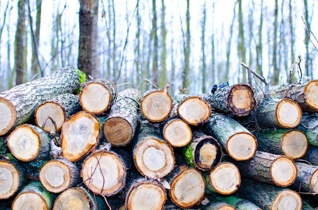 Lardner Park fam forestry demonstration upgraded post image