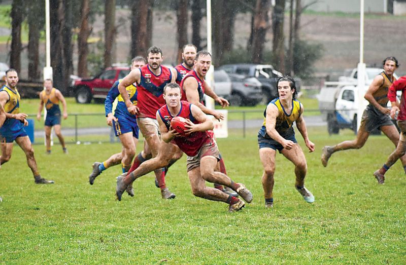 Late drama as Lyrebirds escape the Eagles post image
