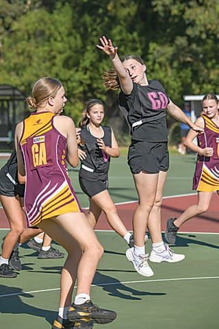 Netball Monday Night (U13's) - Drouin Hawks Vs .Shrek Gulls - 04.03.2024 post image