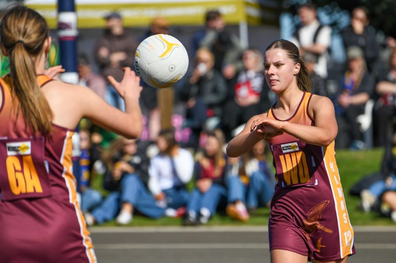 Hawks still in hunt for three flags post image