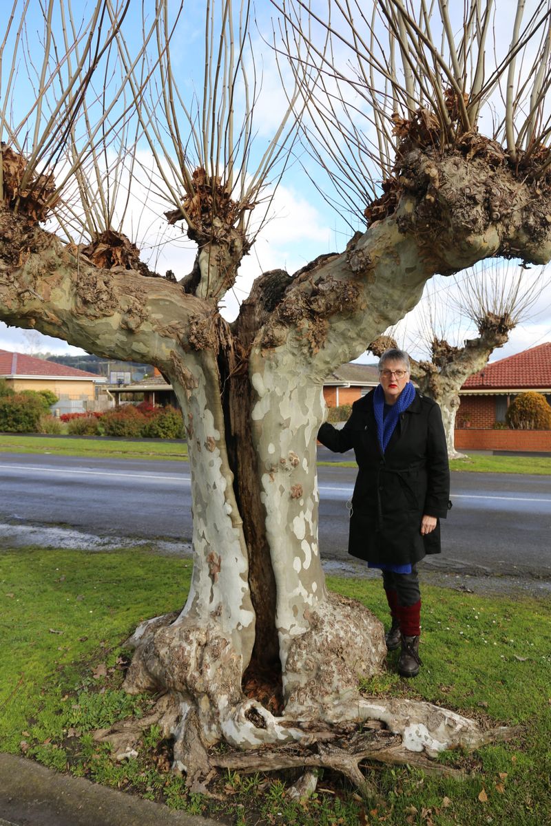 Action urged on Yarragon street post image