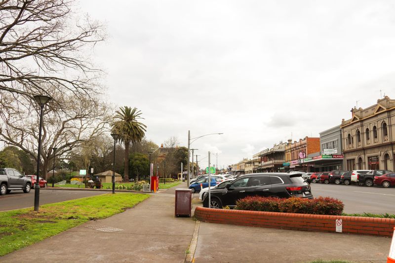 Trees absent from street post image