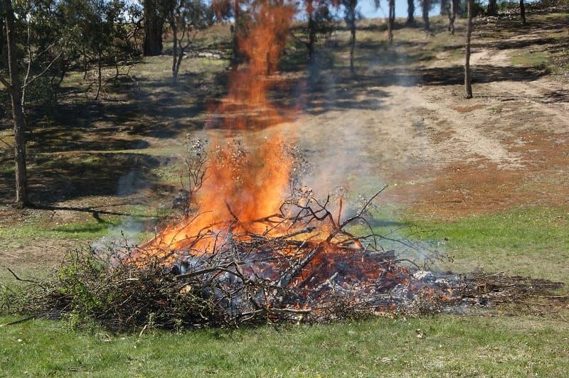 Register burn-off online post image