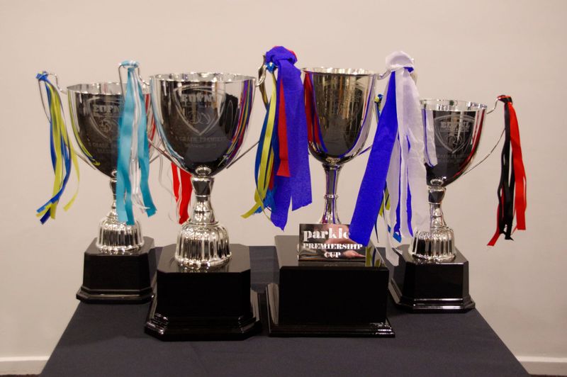 Netball cups up for grabs post image