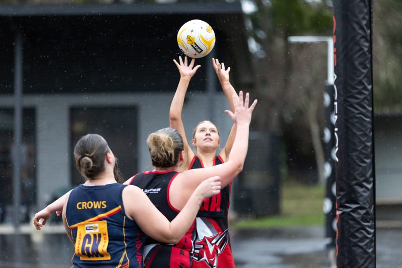 Eagles beat Lyrebirds post image