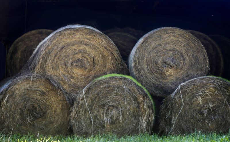 Looking at the science behind hay fires post image