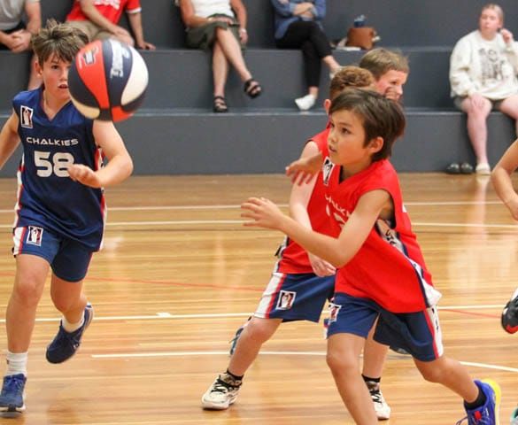 Basketball Juniors (U10's) - Chalkies Tigers Vs. Chalkies Sharks - 02.02.2024 post image