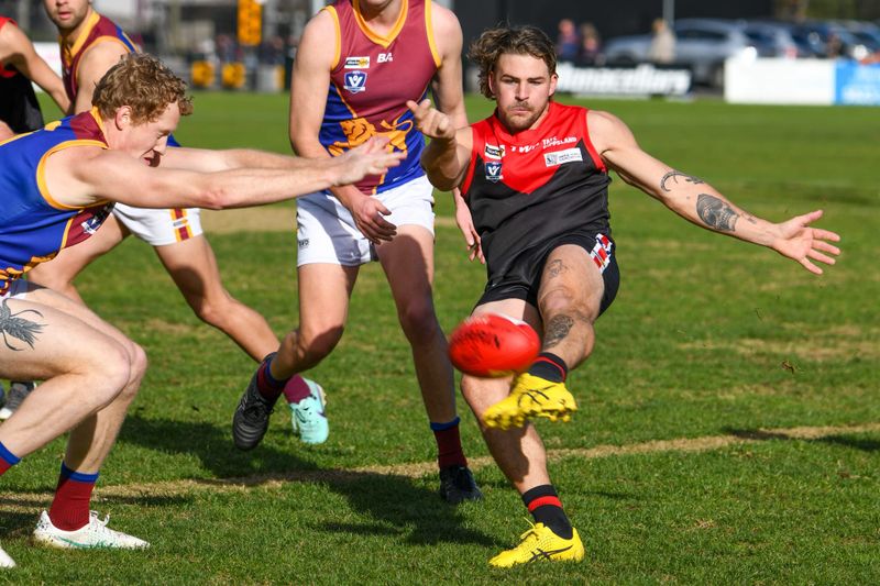Gallant Gulls leave Lions in the lurch post image