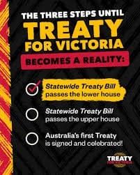 Treaty passes final vote post image