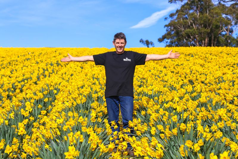 Field of hope post image