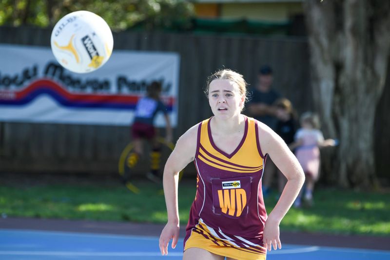Locals to star in state league post image
