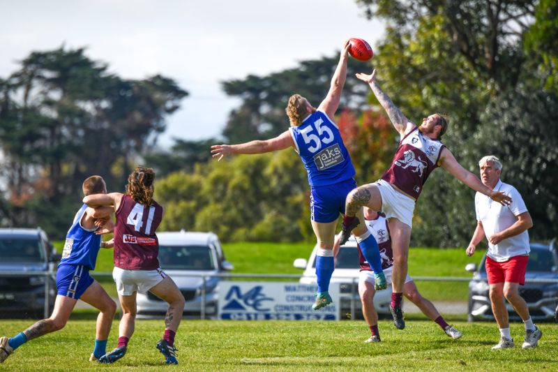 Blues tough out another victory post image