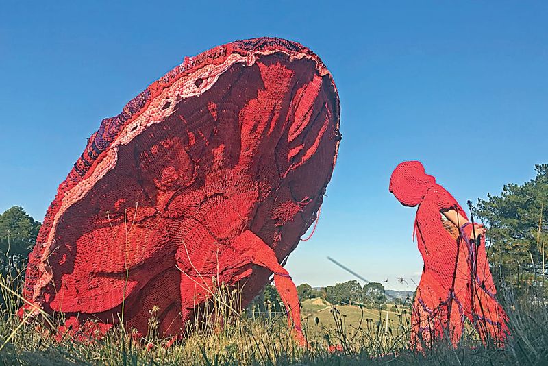 Giant placenta travels to Denmark post image