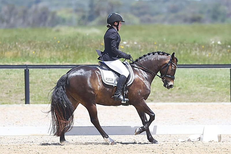 Annual dressage event on Sunday post image