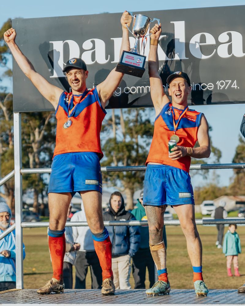 Premiers and champions post image