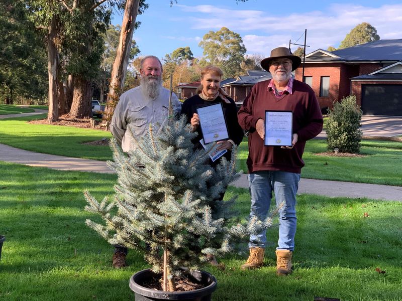 Generosity enables tree replacement post image