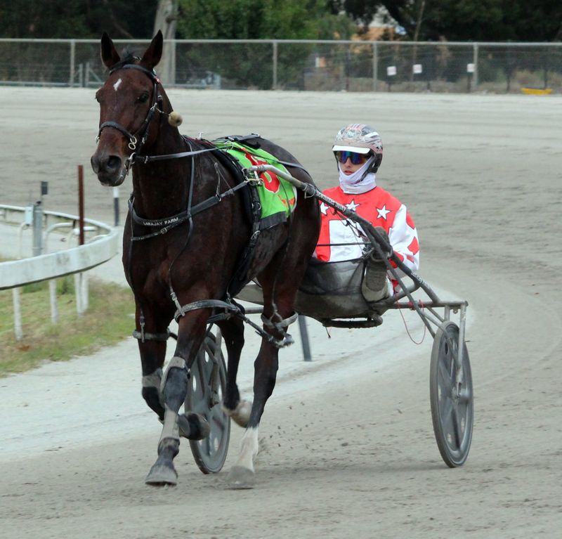 New date revives Warragul Pacing Bowl Cup post image