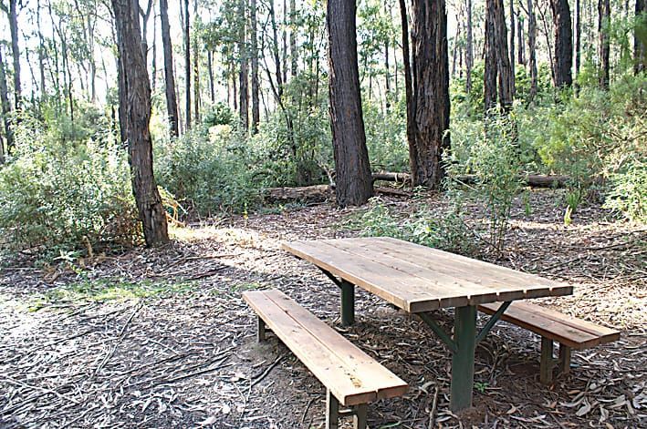 Biodiversity blitz at Uralla Reserve post image