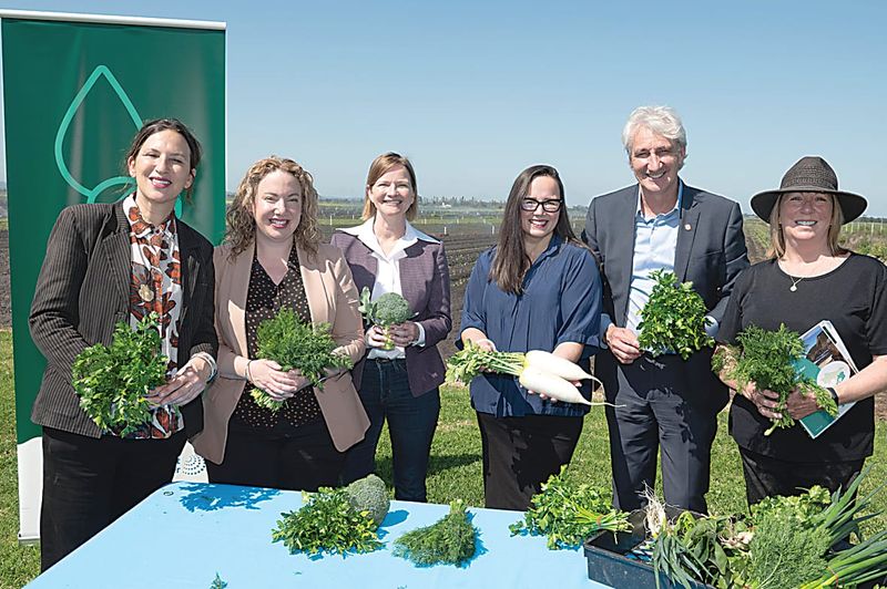 Securing water for Cardinia farmers post image