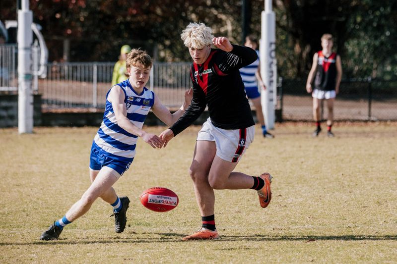 Cats crunch Bombers post image