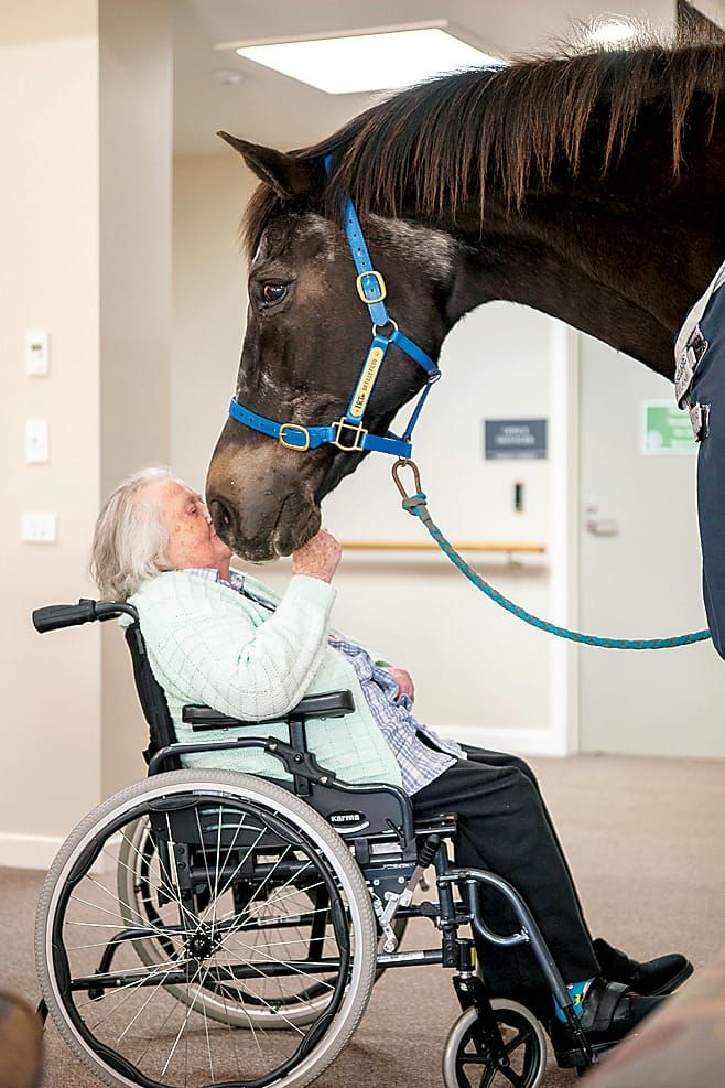 Horsing around at Abbey Gardens post image