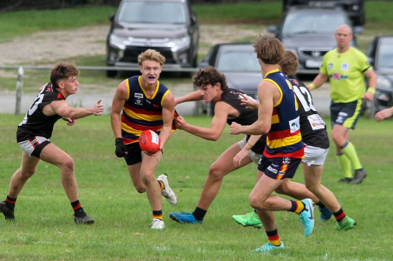Crows crush Bombers post image