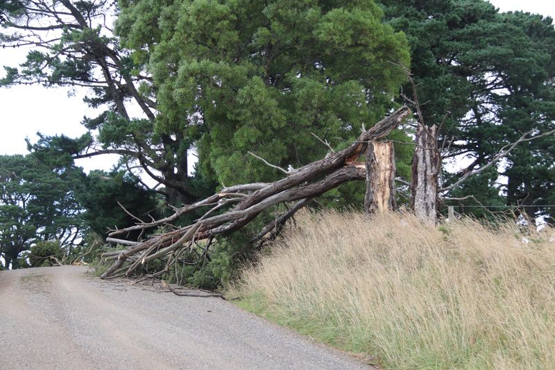 Storm battering post image