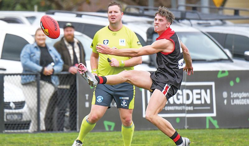 Gulls brave despite loss to Lions post image