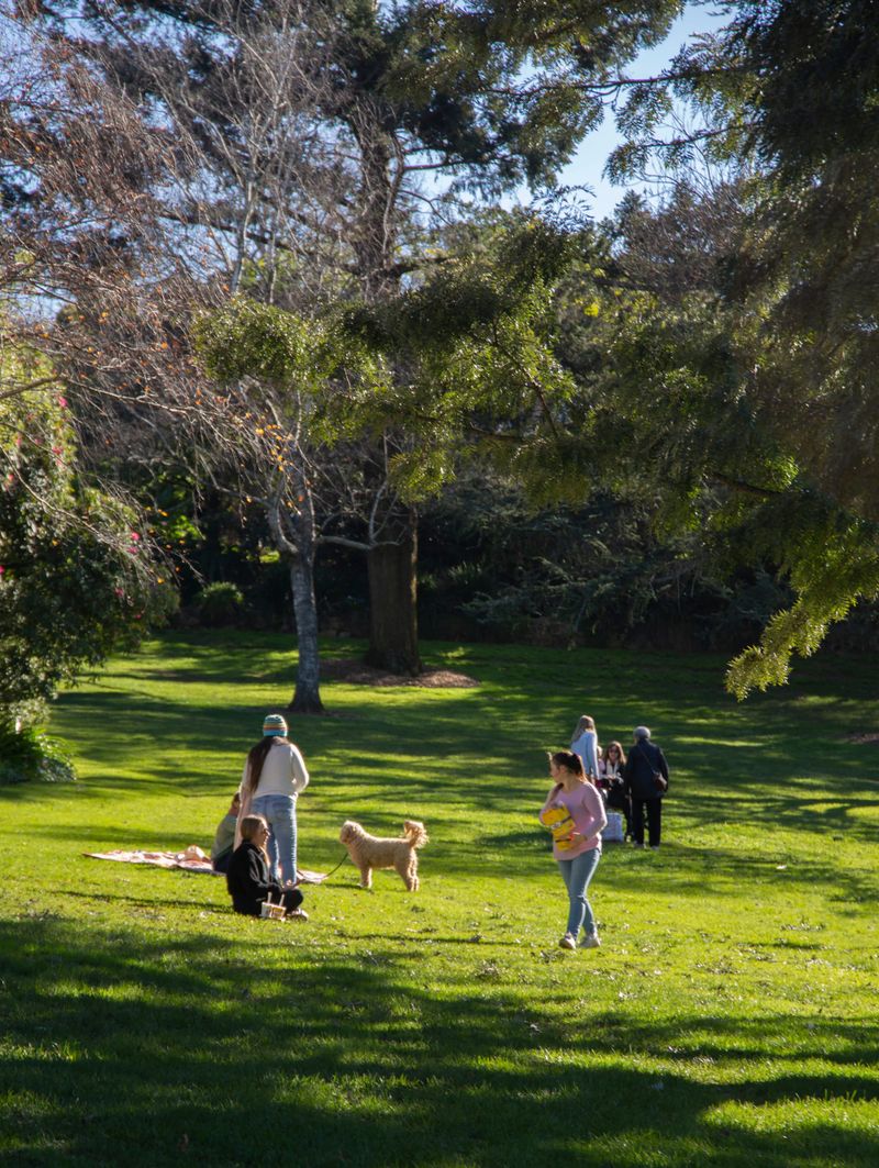 Parks and reserves rezoned in "tidy up" post image