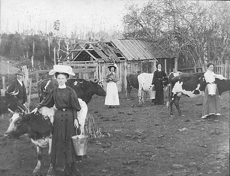 Snapshot of the past: Stephens family post image