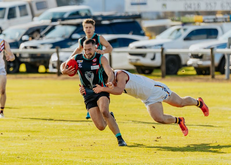 Dusties feel Cobras' bite post image