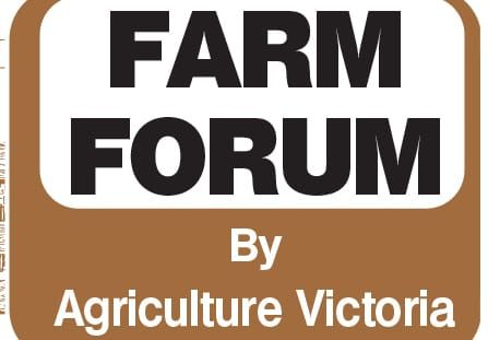 Farmers urged to prepare for heat stress post image