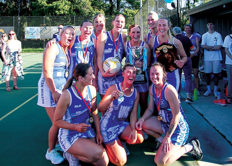 Champion Cats post image