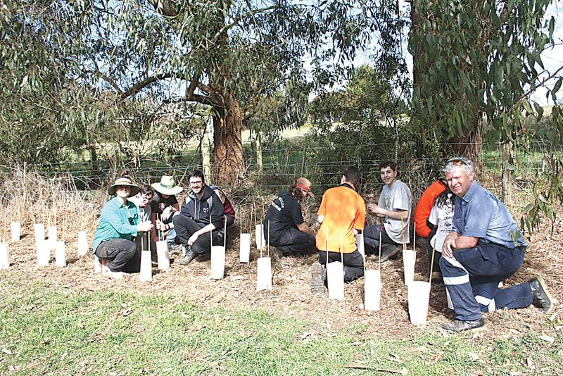 Horticulture studentslearning with Landcare post image