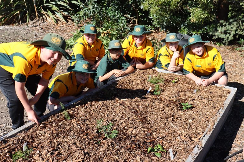Growing bush tucker post image
