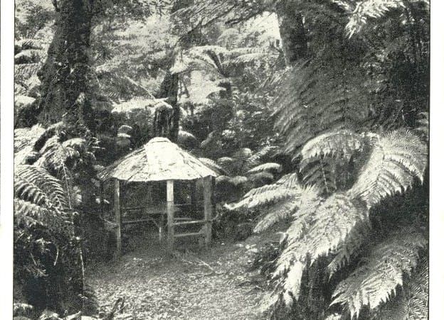 Snapshot of the past: Glen Nayook Reserve post image