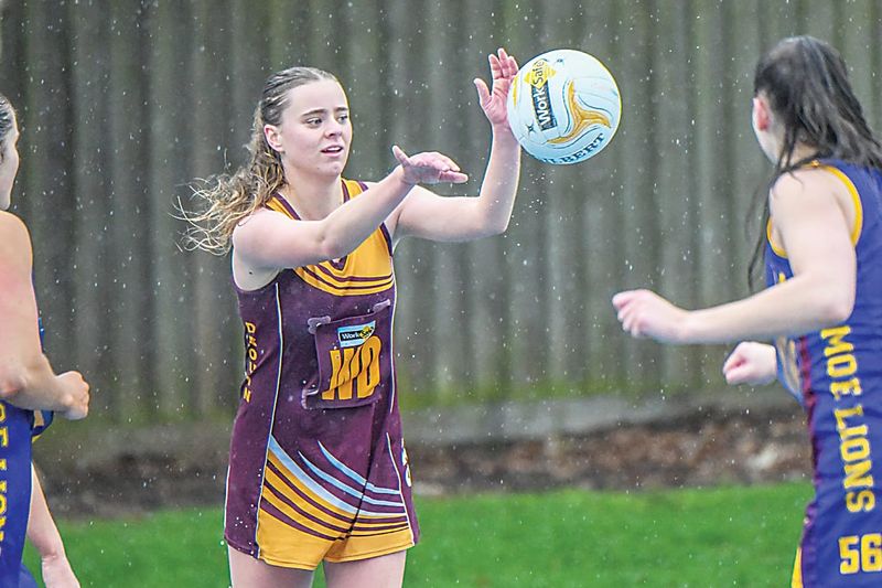 Hawks face league's best on the netball courts post image