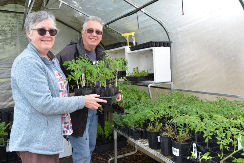 Community garden plant sale post image