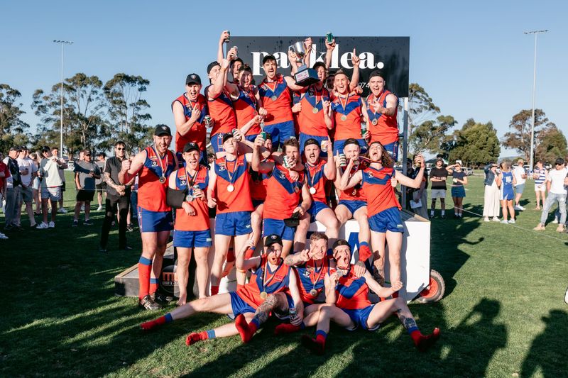 Past seasons come into play for Lyrebirds post image