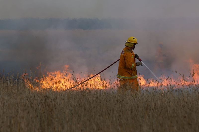 Hefty penalties loom for escaped burn-offs post image