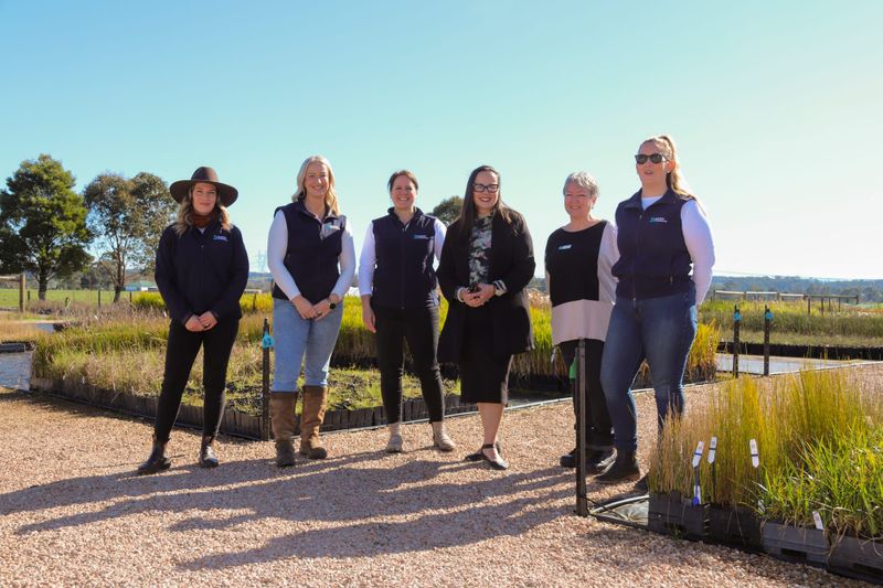 Nursery expansion grows plants and jobs post image