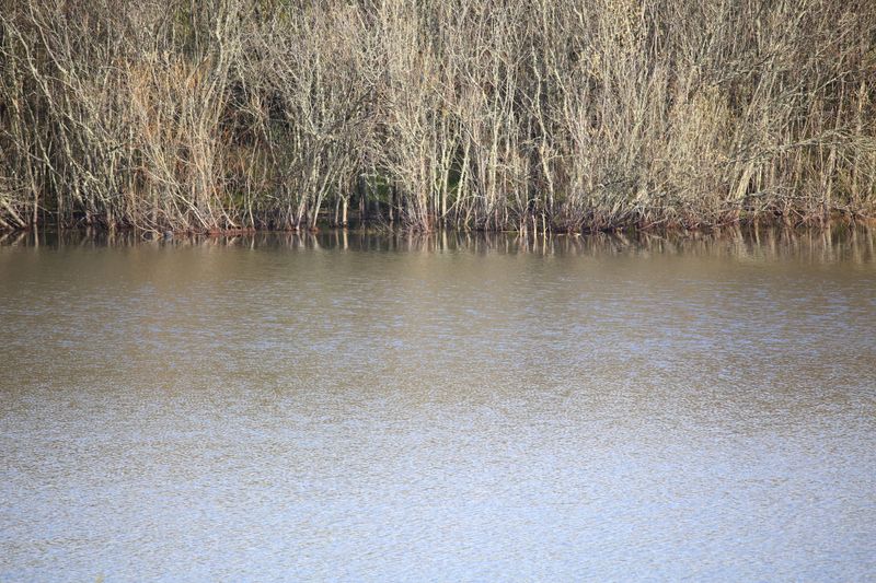 What to do about an evaporating dam post image