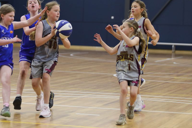 Basketball: Under 12 Girls Devils Storm Vs Neerim Wolves - November 20, 2025 post image