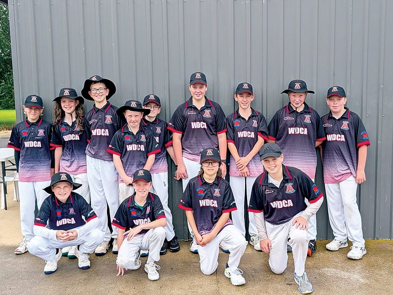 Wild Dogs off to hot start post image