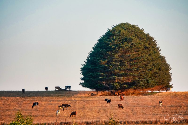 Another dry year post image