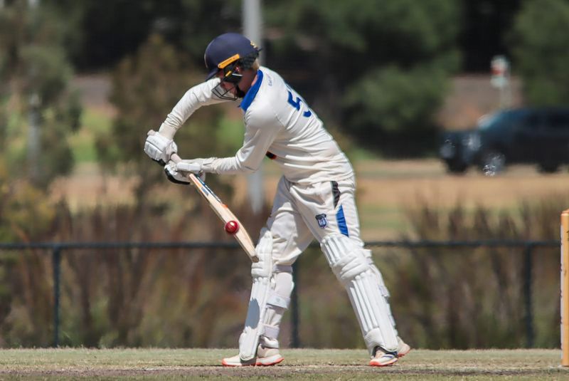 WDCA Cricket Division 1 Western Park vs Longwarry - January 24, 2026 post image