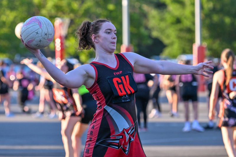 WDNA Monday Night Netball Open Female Division 1 - Nilma Darnum vs Hot Dogs - February 16, 2026 post image