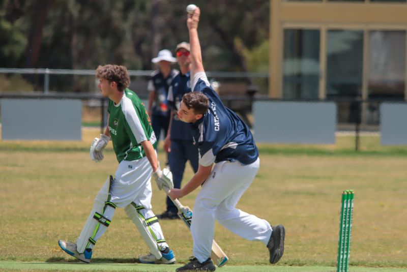 Cats subdue Swamp Tigers in division five post image
